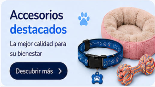 Accesorios destacados